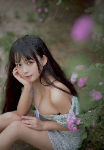 企鹅：极地追踪