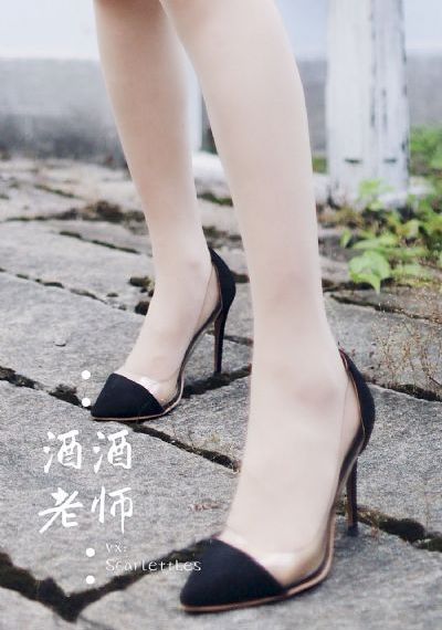 宠物