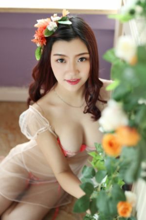 布衣钦差之旺来运来