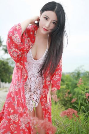 打扰伯格曼