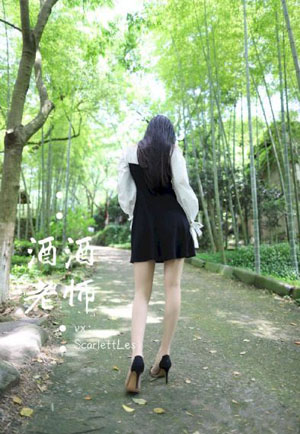 新燕子李三2013
